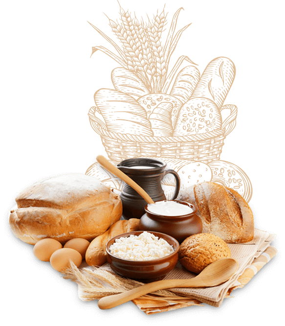 星空体育官方登录入口食品